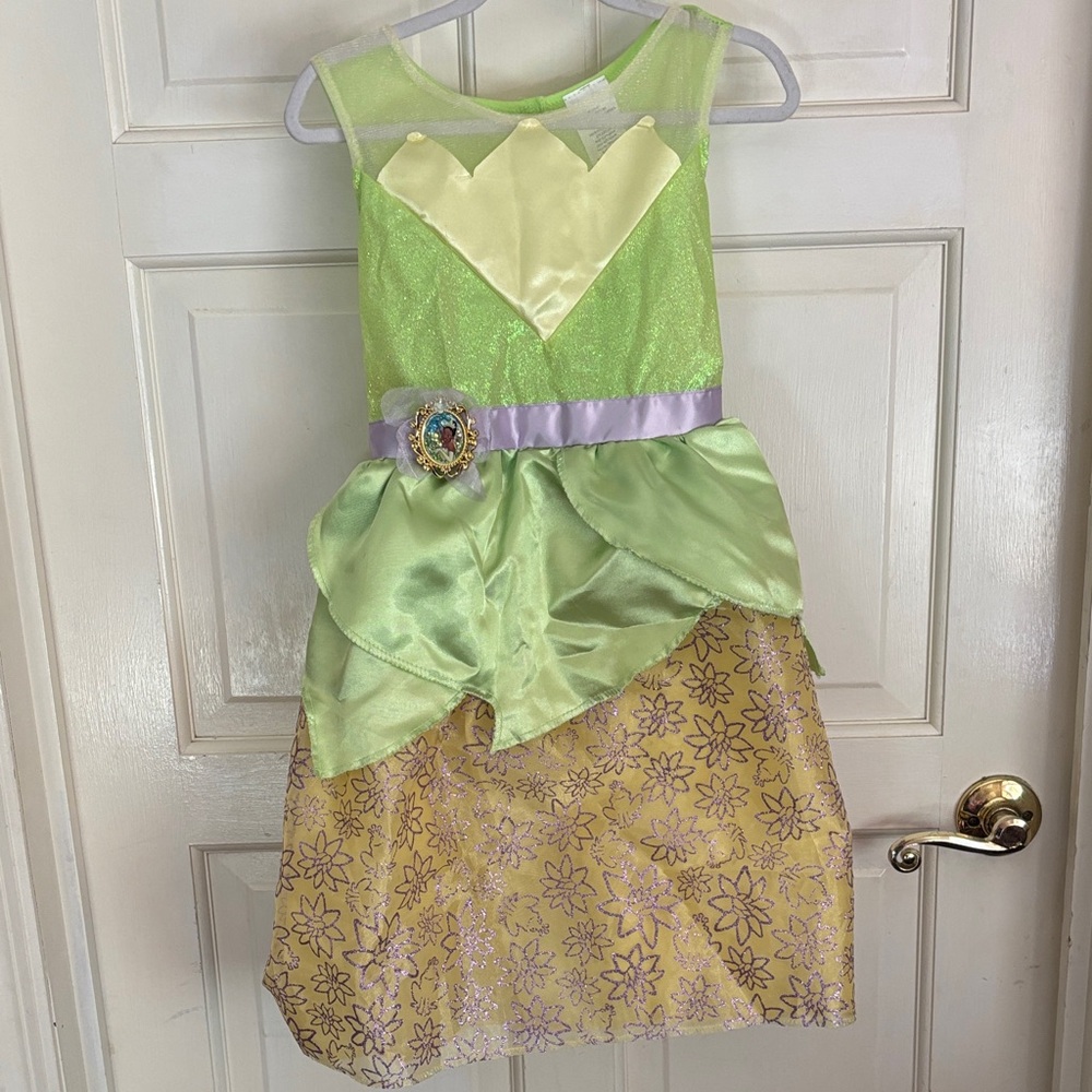 Kids Fairy Princess Costume - Green and Gold